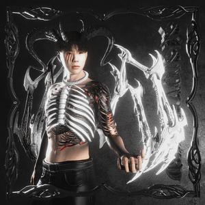 系统图像小鲤导航
