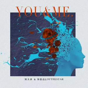 系统图像小鲤导航
