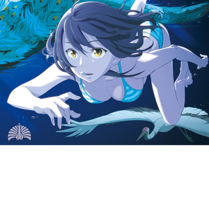 系统图像小鲤导航
