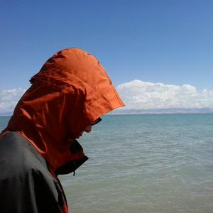 系统图像小鲤导航
