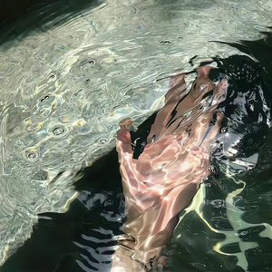 系统图像小鲤导航
