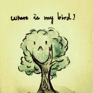 系统图像小鲤导航
